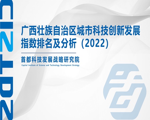 黄片靠逼一级富贵【成果发布】广西壮族自治区城市科技创新发展指数排名及分析（2022）